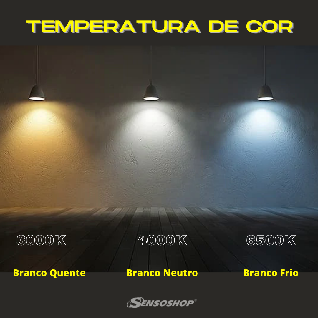 Kit 6 Lâmpadas EcoHome Stick 14w Philips Branco Frio 110v